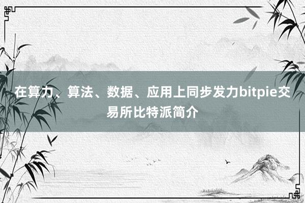 在算力、算法、数据、应用上同步发力bitpie交易所比特派简介