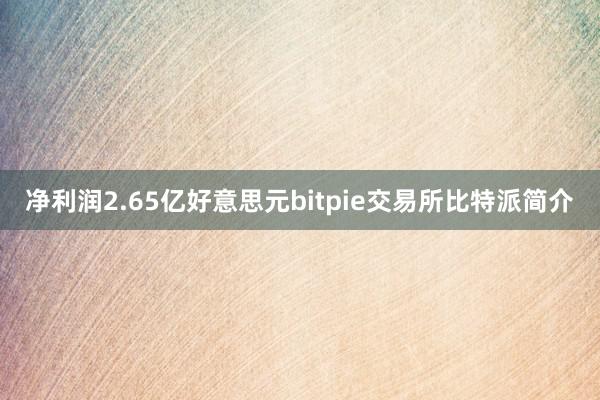 净利润2.65亿好意思元bitpie交易所比特派简介