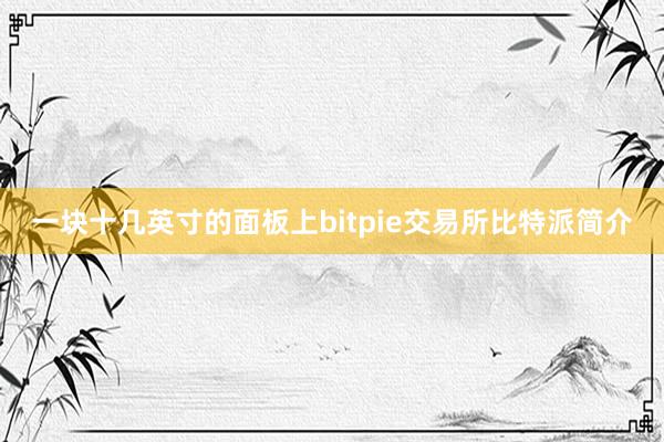 一块十几英寸的面板上bitpie交易所比特派简介