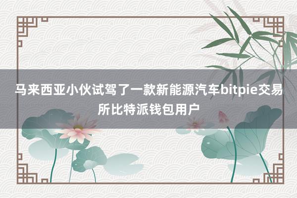 马来西亚小伙试驾了一款新能源汽车bitpie交易所比特派钱包用户