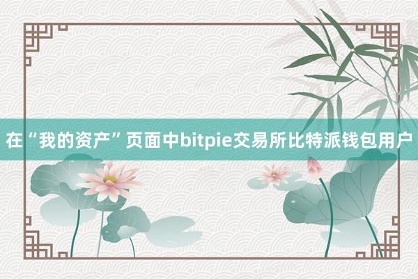 在“我的资产”页面中bitpie交易所比特派钱包用户