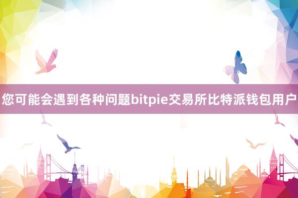 您可能会遇到各种问题bitpie交易所比特派钱包用户