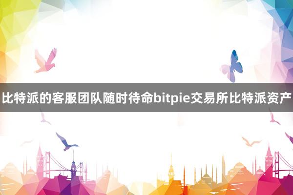 比特派的客服团队随时待命bitpie交易所比特派资产