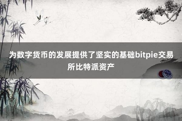 为数字货币的发展提供了坚实的基础bitpie交易所比特派资产