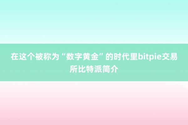 在这个被称为“数字黄金”的时代里bitpie交易所比特派简介