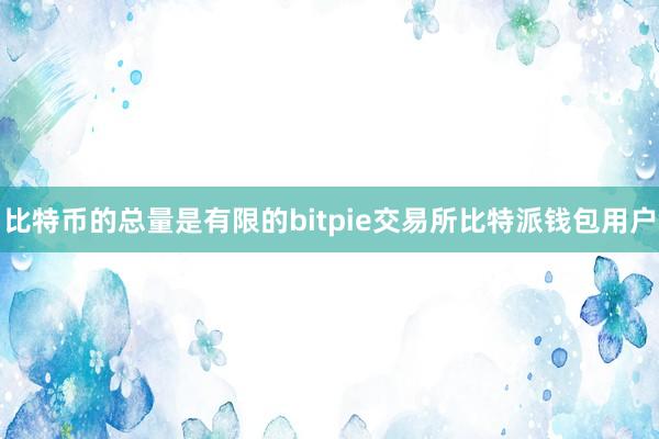 比特币的总量是有限的bitpie交易所比特派钱包用户