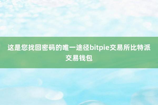 这是您找回密码的唯一途径bitpie交易所比特派交易钱包