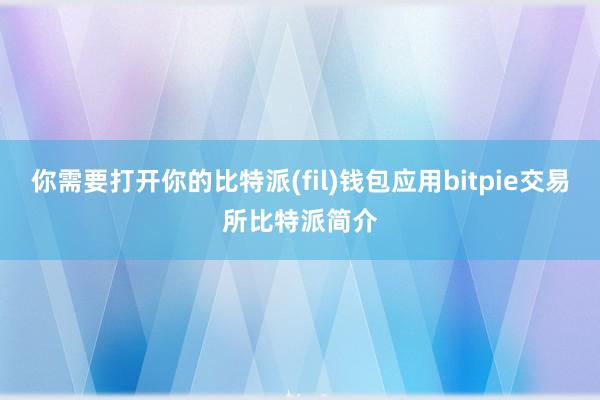 你需要打开你的比特派(fil)钱包应用bitpie交易所比特派简介