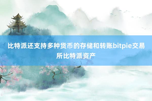 比特派还支持多种货币的存储和转账bitpie交易所比特派资产