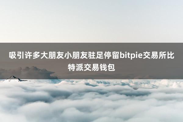 吸引许多大朋友小朋友驻足停留bitpie交易所比特派交易钱包