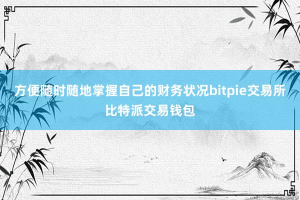 方便随时随地掌握自己的财务状况bitpie交易所比特派交易钱包