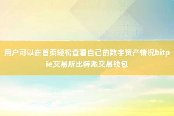 用户可以在首页轻松查看自己的数字资产情况bitpie交易所比特派交易钱包