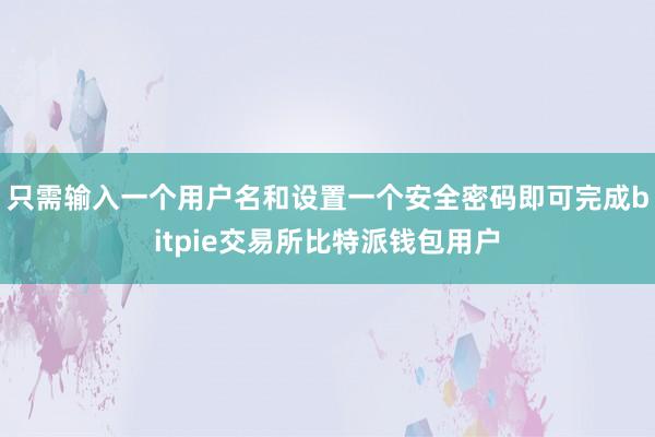 只需输入一个用户名和设置一个安全密码即可完成bitpie交易所比特派钱包用户