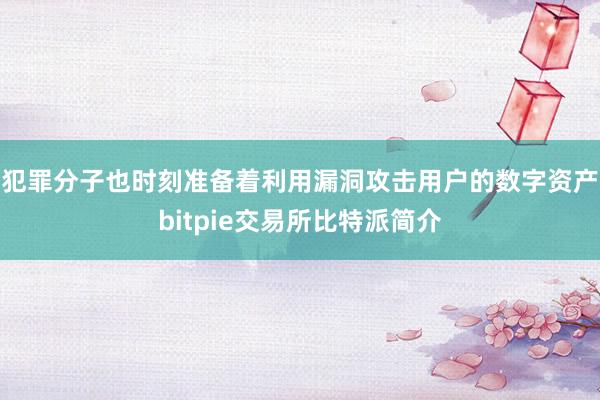 犯罪分子也时刻准备着利用漏洞攻击用户的数字资产bitpie交易所比特派简介