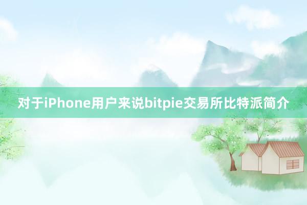 对于iPhone用户来说bitpie交易所比特派简介