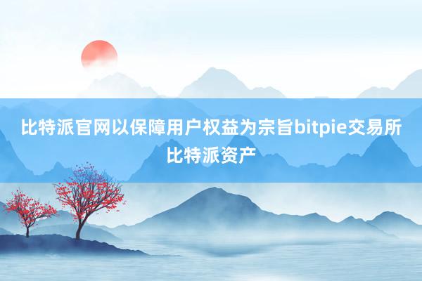 比特派官网以保障用户权益为宗旨bitpie交易所比特派资产