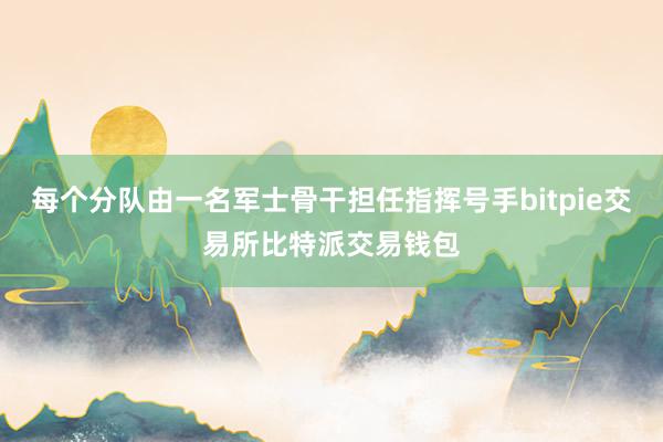 每个分队由一名军士骨干担任指挥号手bitpie交易所比特派交易钱包