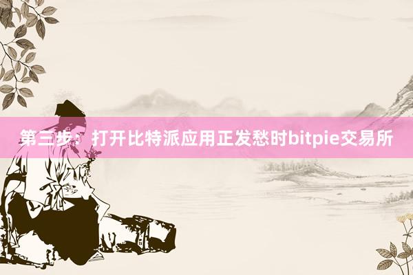 第三步：打开比特派应用正发愁时bitpie交易所