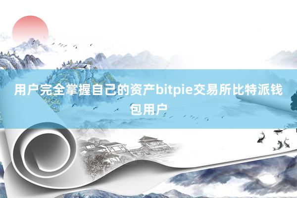 用户完全掌握自己的资产bitpie交易所比特派钱包用户