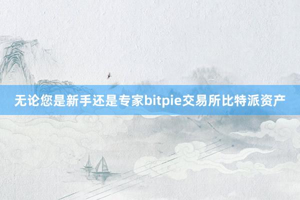 无论您是新手还是专家bitpie交易所比特派资产