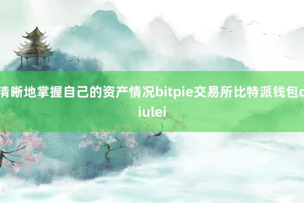 清晰地掌握自己的资产情况bitpie交易所比特派钱包diulei