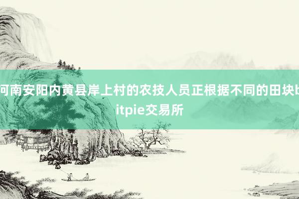 河南安阳内黄县岸上村的农技人员正根据不同的田块bitpie交易所