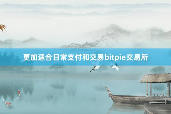 更加适合日常支付和交易bitpie交易所