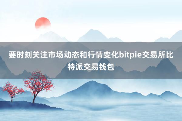 要时刻关注市场动态和行情变化bitpie交易所比特派交易钱包