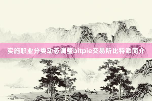 实施职业分类动态调整bitpie交易所比特派简介