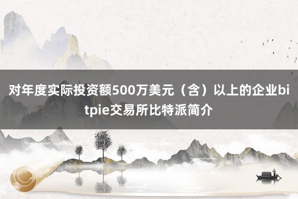 对年度实际投资额500万美元（含）以上的企业bitpie交易所比特派简介