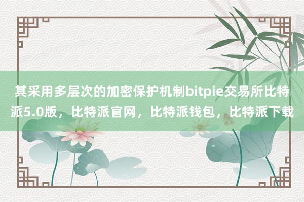 其采用多层次的加密保护机制bitpie交易所比特派5.0版，比特派官网，比特派钱包，比特派下载