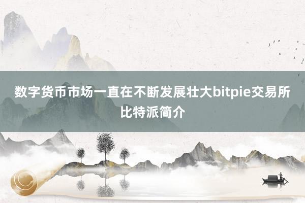 数字货币市场一直在不断发展壮大bitpie交易所比特派简介