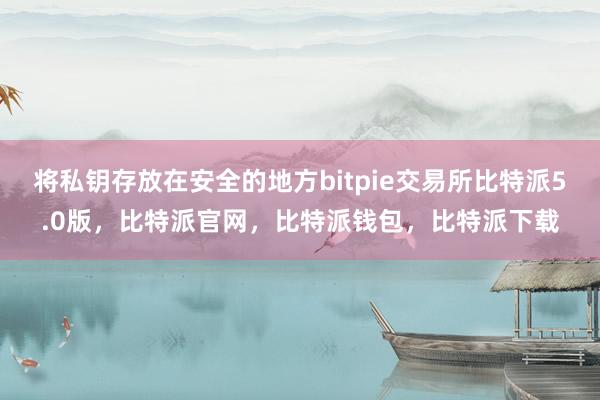 将私钥存放在安全的地方bitpie交易所比特派5.0版，比特派官网，比特派钱包，比特派下载