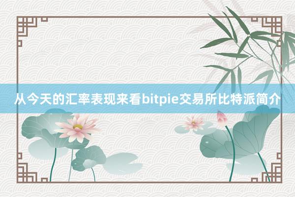 从今天的汇率表现来看bitpie交易所比特派简介