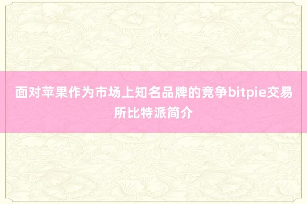 面对苹果作为市场上知名品牌的竞争bitpie交易所比特派简介