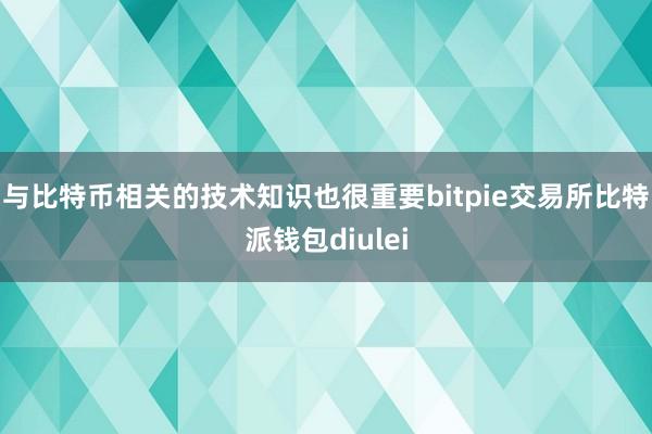 与比特币相关的技术知识也很重要bitpie交易所比特派钱包diulei