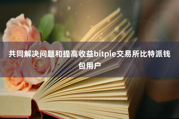 共同解决问题和提高收益bitpie交易所比特派钱包用户