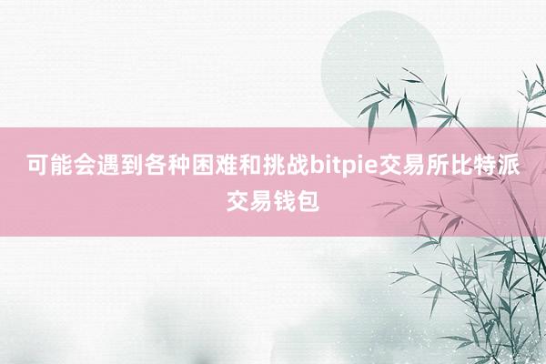 可能会遇到各种困难和挑战bitpie交易所比特派交易钱包