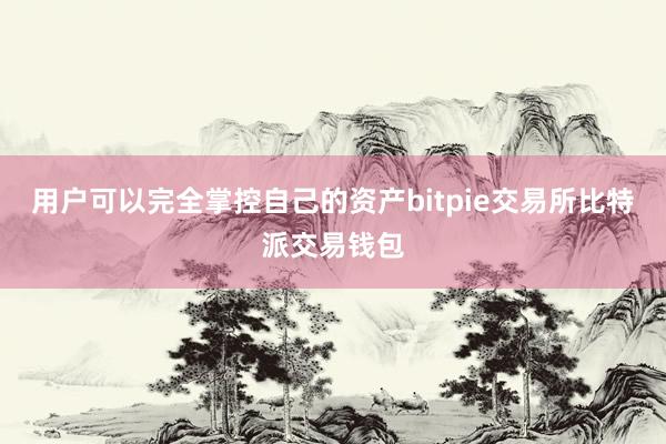 用户可以完全掌控自己的资产bitpie交易所比特派交易钱包