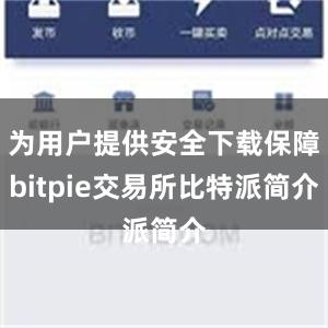 为用户提供安全下载保障bitpie交易所比特派简介