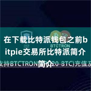 在下载比特派钱包之前bitpie交易所比特派简介