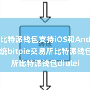 比特派钱包支持iOS和Android系统bitpie交易所比特派钱包diulei