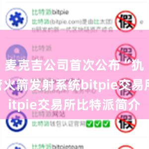 麦克吉公司首次公布“犰狳”多管火箭发射系统bitpie交易所比特派简介