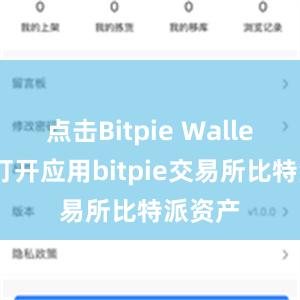 点击Bitpie Wallet图标打开应用bitpie交易所比特派资产