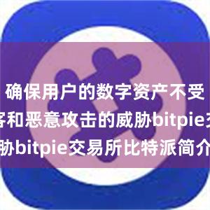 确保用户的数字资产不受网络黑客和恶意攻击的威胁bitpie交易所比特派简介