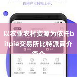 以农业农村资源为依托bitpie交易所比特派简介