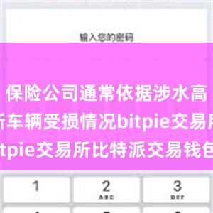 保险公司通常依据涉水高度来判断车辆受损情况bitpie交易所比特派交易钱包