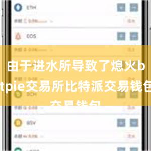 由于进水所导致了熄火bitpie交易所比特派交易钱包