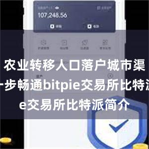 农业转移人口落户城市渠道进一步畅通bitpie交易所比特派简介