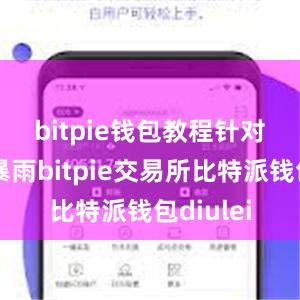 bitpie钱包教程　　针对台风和暴雨bitpie交易所比特派钱包diulei